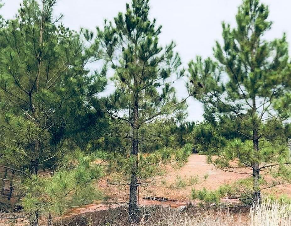 1st image of 0 County Road 2864