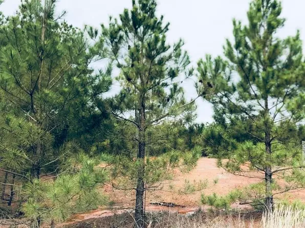 0 County Road 2864, Hughes Springs, TX 75656