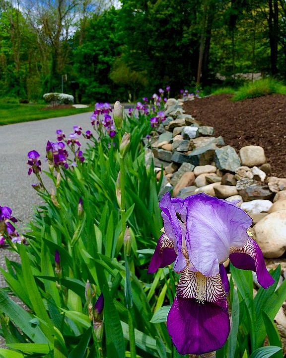 2nd image of 136 Old Tavern Rd