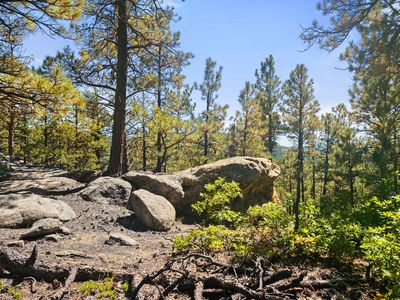 Left Hand Fork Rd, Weston, CO, 81091