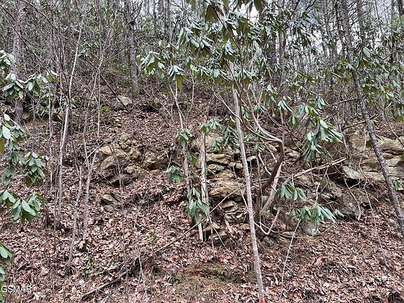 3rd image of 10 John Sevier Dr Lot 10