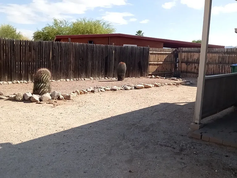 Part of back yard