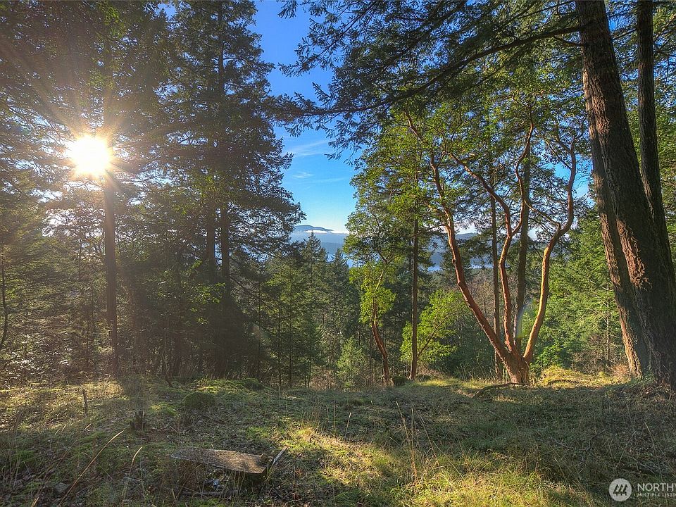 1st image of 558 Buck Mt. Road