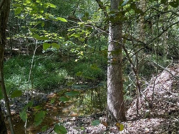 4th image of River Road Liberty Grove Rd Lot 6