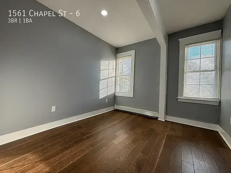 1561 Chapel St #6 — Photo 9