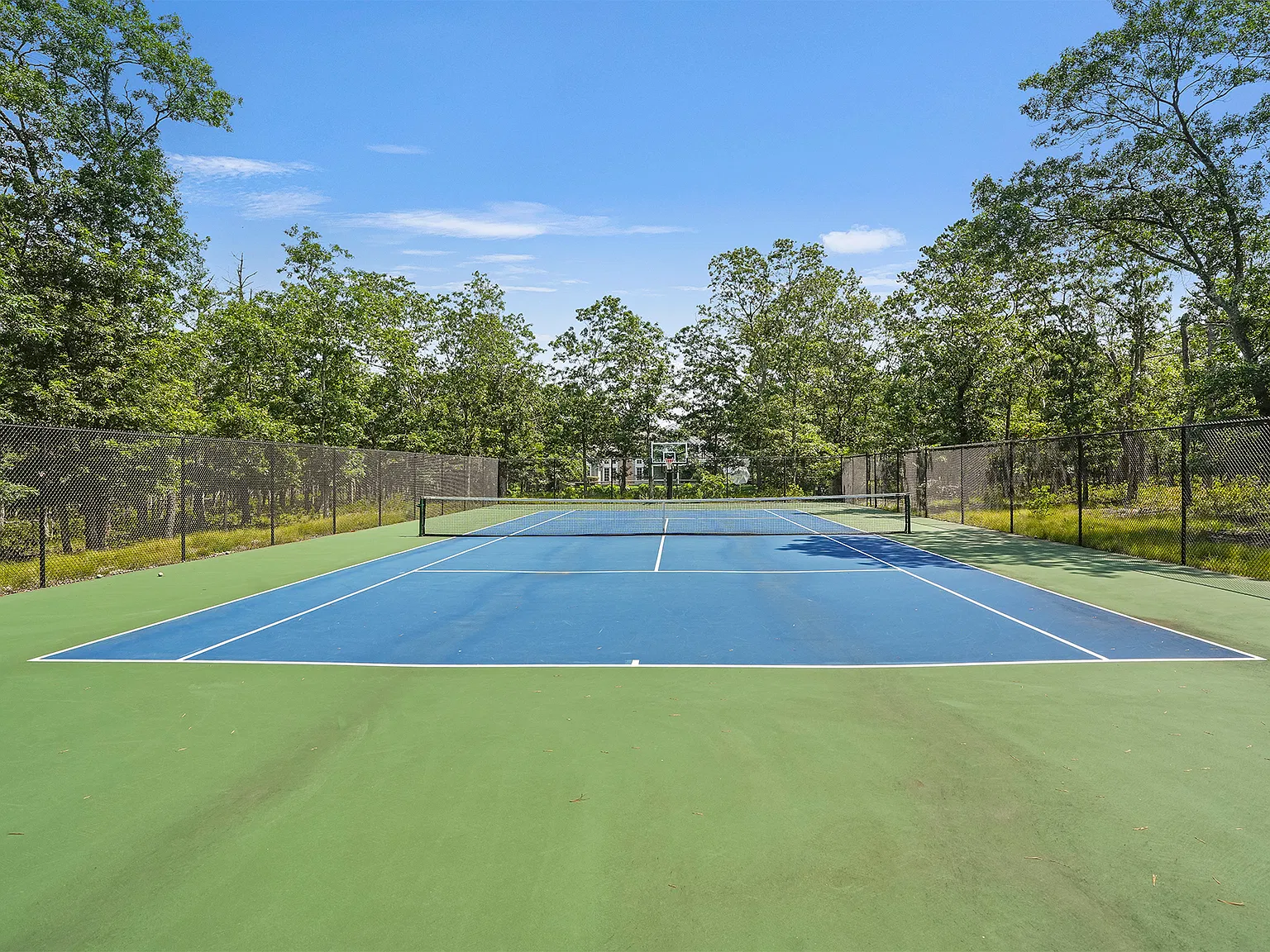 Anyone For Tennis? — Photo 2