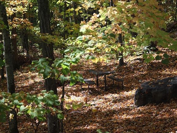 side yard w/fire pit and picnic table
