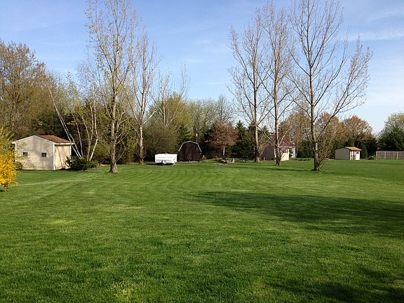 Back yard from patio