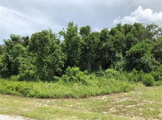 32752 County Road 473, Leesburg, FL 34788