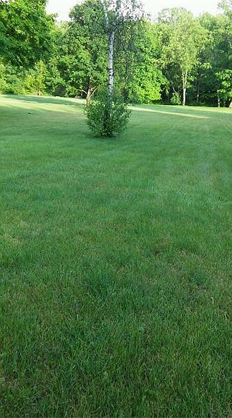 2nd image of 00 N Branch Rd