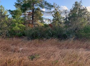 2851 W Seville Dr, Avon Park, FL 33825