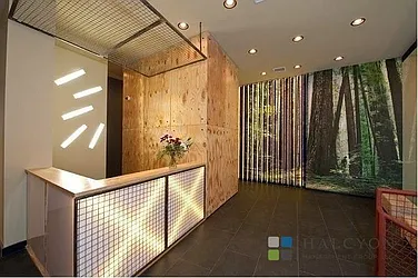 Rented by Halcyon Management Group LLC