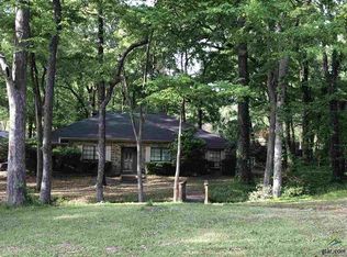 13300 Spring Creek Dr, Flint, TX 75762