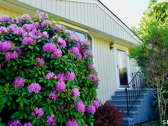 3rd image of 223 Sterling Road