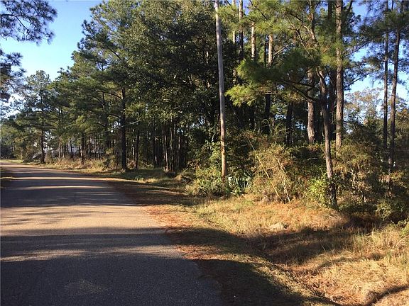 4th image of Mildred Dr