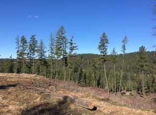 15305 E Bill Gulch Rd, Mead, WA 99021