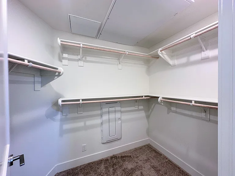 Primary Closet