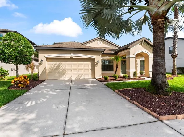 8446 Bluevine Sky Dr, Land O Lakes, FL 34637