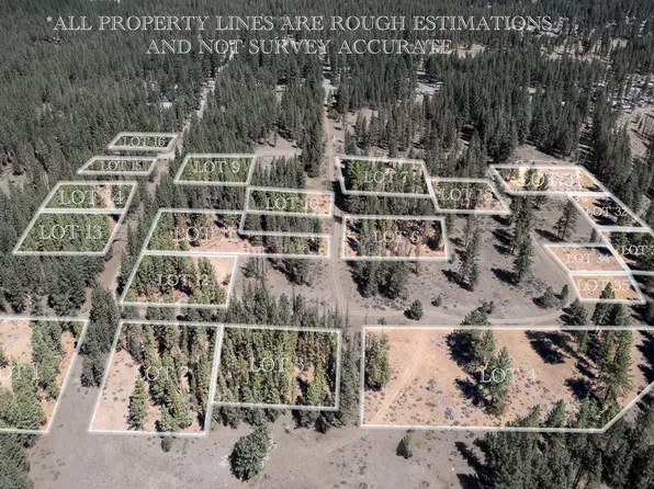 152 Bear Way, Portola, CA 96122