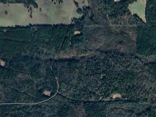 County Road 2142 N, Tatum, TX 75691