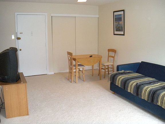 Family Room New Carpet