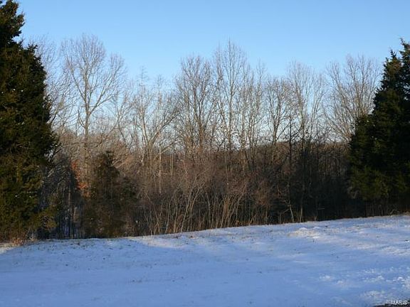2nd image of 2038 Meadow Forest Dr