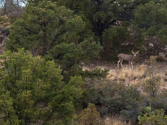 2nd image of 10577 N Gypsy Camp Rd