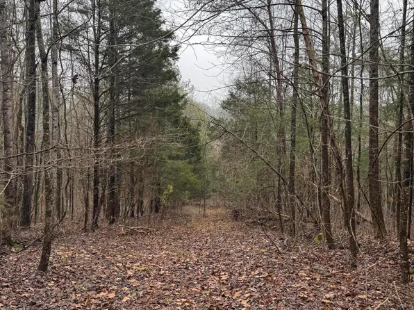 6524 Anderson Acres Dr, Georgetown, TN 37336