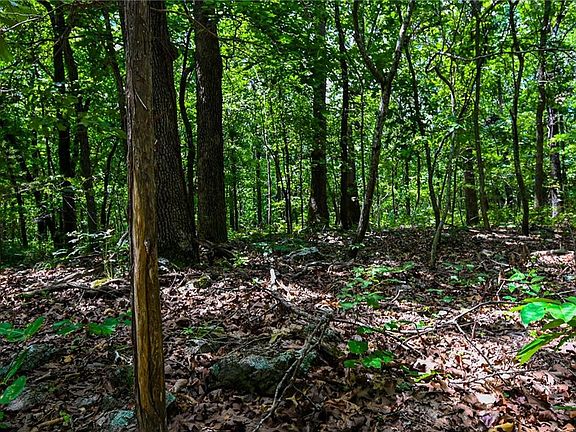 5th image of 5760 NE 871 Private Rd