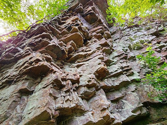 42nd image of this home