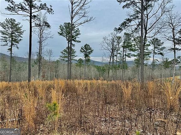 2nd image of 347 Timbercreek Trl
