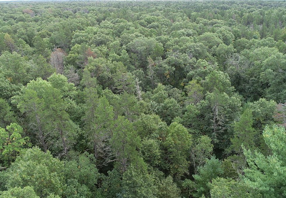 1st image of 000 Ferry (easement to property) Road