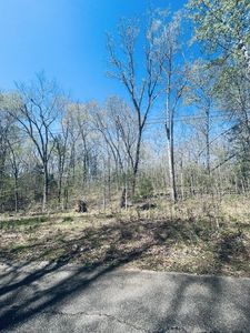 0 Iron Horse Trl, Parsons, TN, 38363