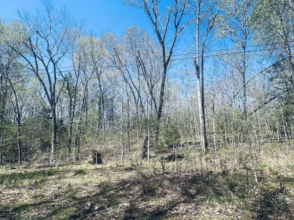 0 Iron Horse Trl, Parsons, TN 38363