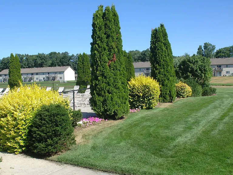 Beautiful Grounds