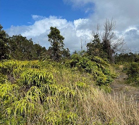 4th image of 11-3948 Nahelenani St Lot 53-B