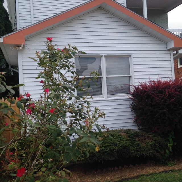 Rear addition