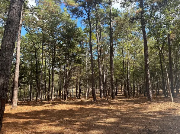 751 Red Holw, Leggett, TX 77350