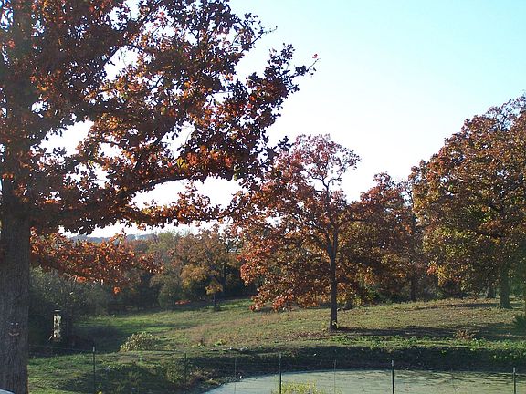 pasture & pond in fall