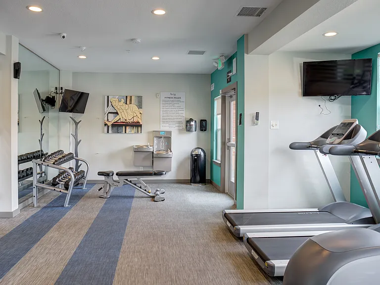 Avia Lowry's fitness center equipped with exercise machines, weights and a television.