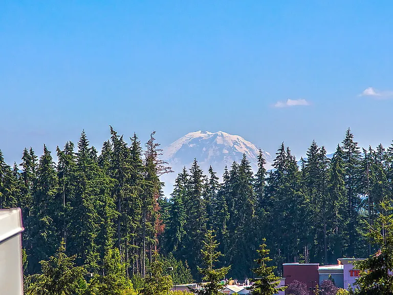 Pure Redmond — Photo 27