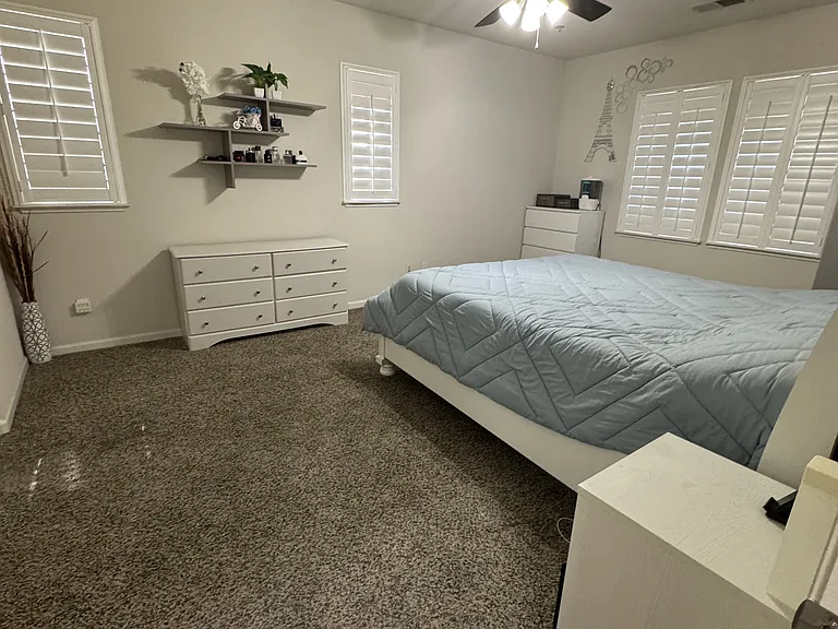 166 W Luna Loca Ln — Photo 13