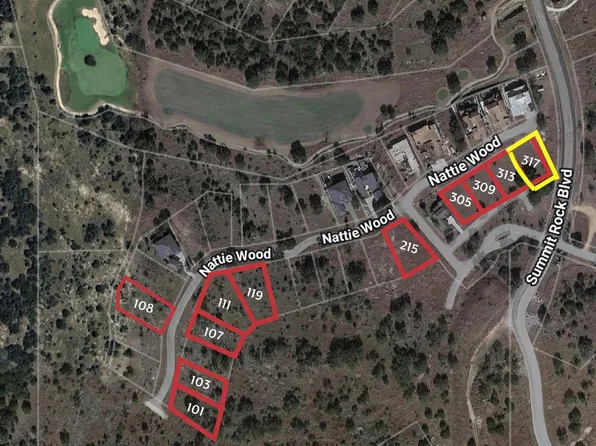 317 Nattie Woods Dr, Horseshoe Bay, TX 78657