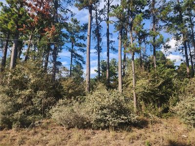 LOT 717 Weeping Willow Ln, Plantersville, TX, 77363