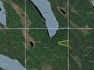 0 Onestone Lake Isle #81-110-L1, Skwentna, AK 99667