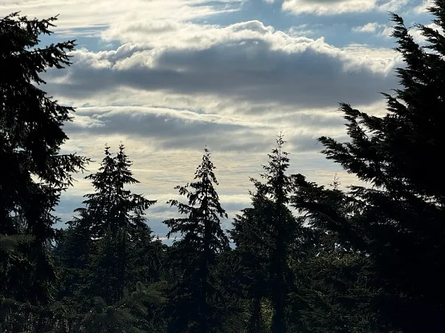 View from deck