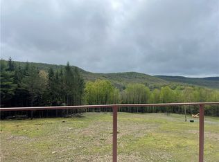 100 Buchanan Rd #11, Windsor, NY 13865