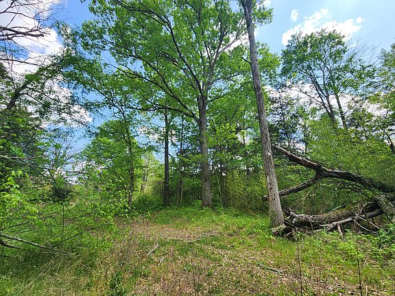 4th image of 0 Murray Kittrell Rd Lot 11.63