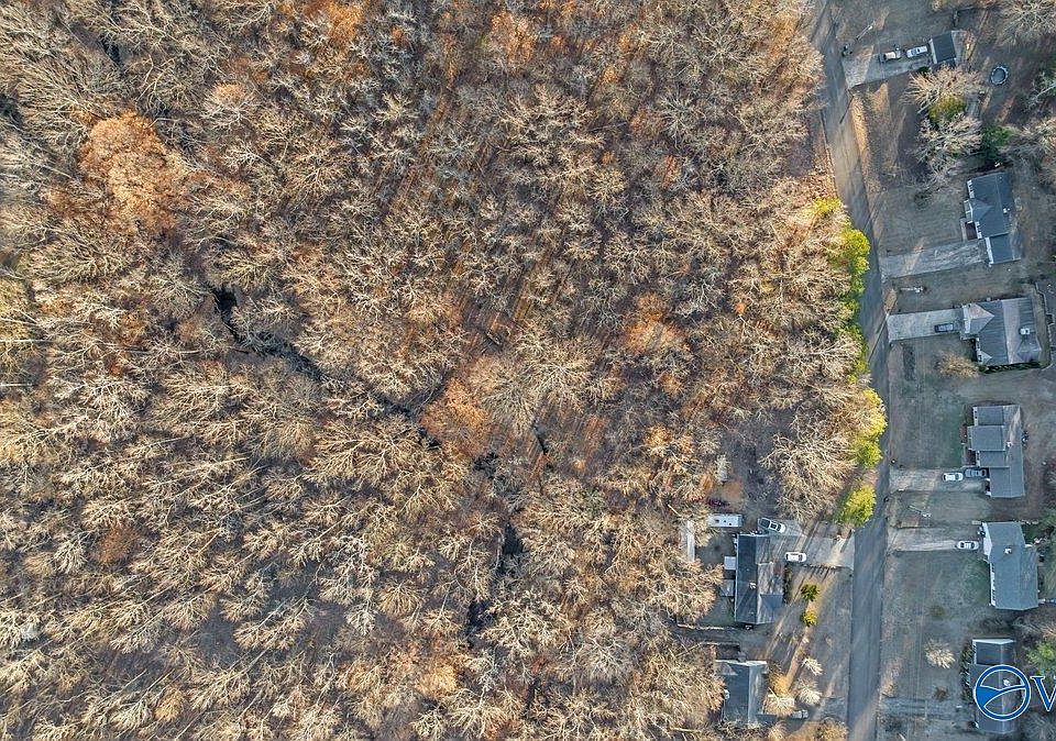2nd image of 351 Buffalo Creek Dr