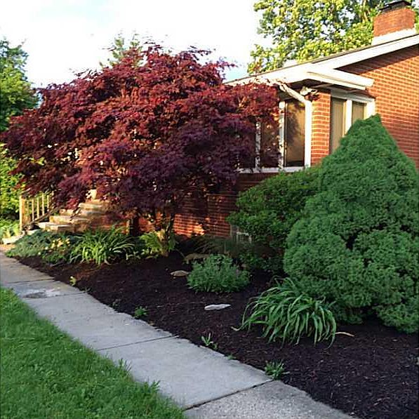 1st image of 909 Maple Dr